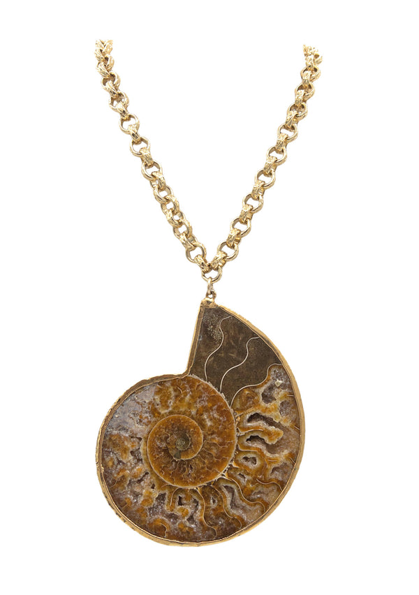 Large Fossilized Ammonite Pendant Necklace